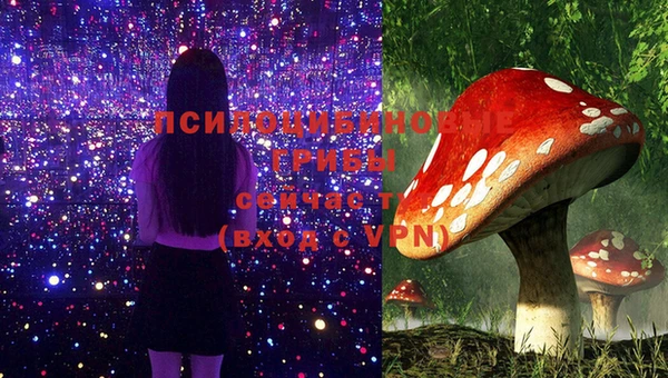 МДПВ Алзамай